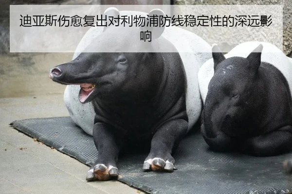 迪亚斯伤愈复出对利物浦防线稳定性的深远影响